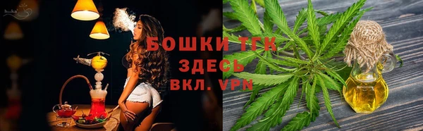 трава Елабуга