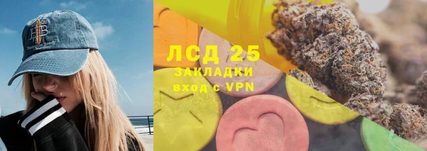 крисы Ельня