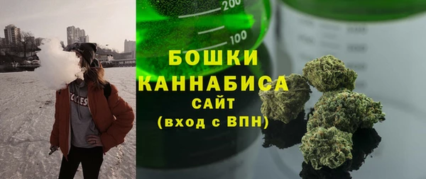 крисы Ельня