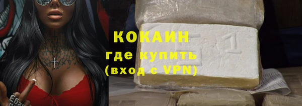 крисы Ельня