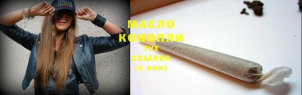 крисы Ельня