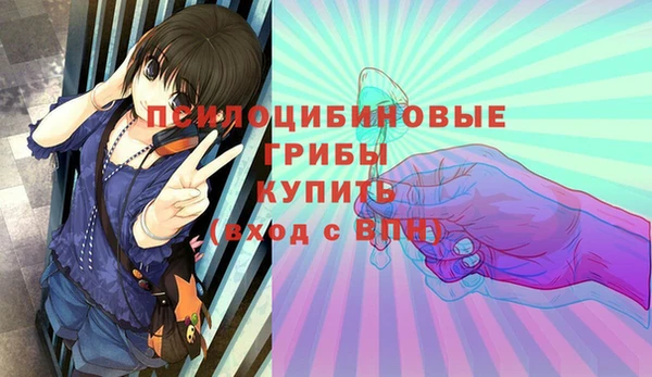крисы Ельня