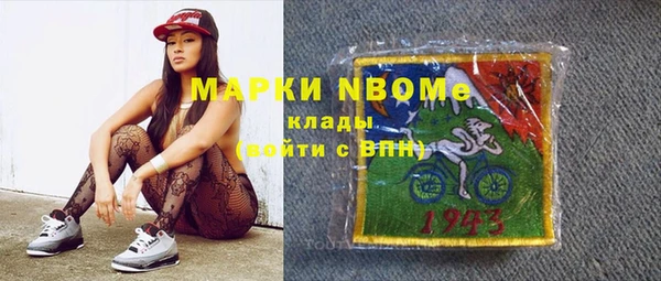 крисы Ельня