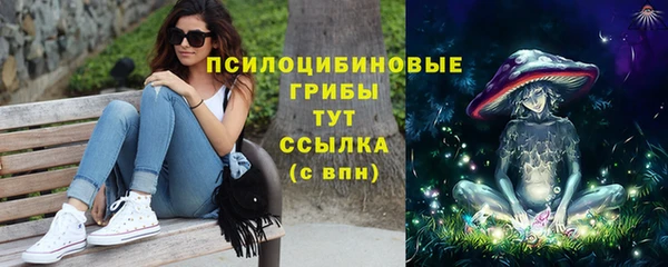 трава Елабуга