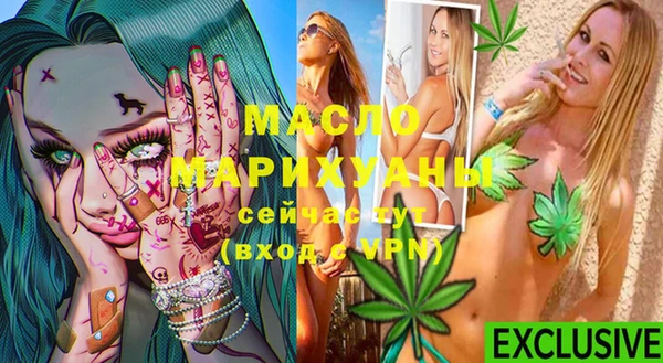 крисы Ельня