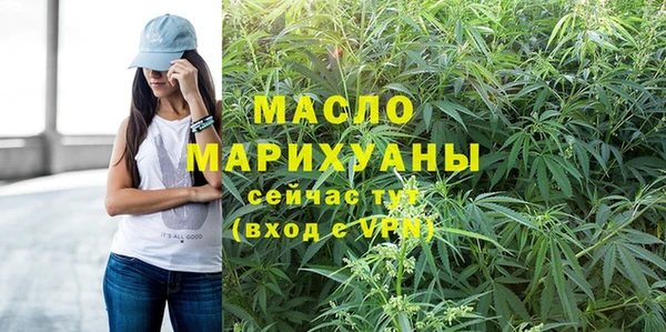 крисы Ельня