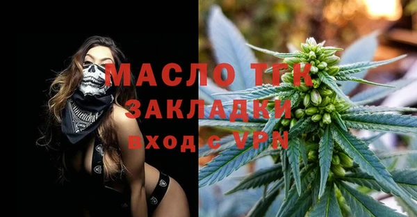 крисы Ельня