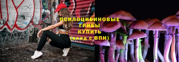 крисы Ельня