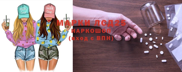 крисы Ельня