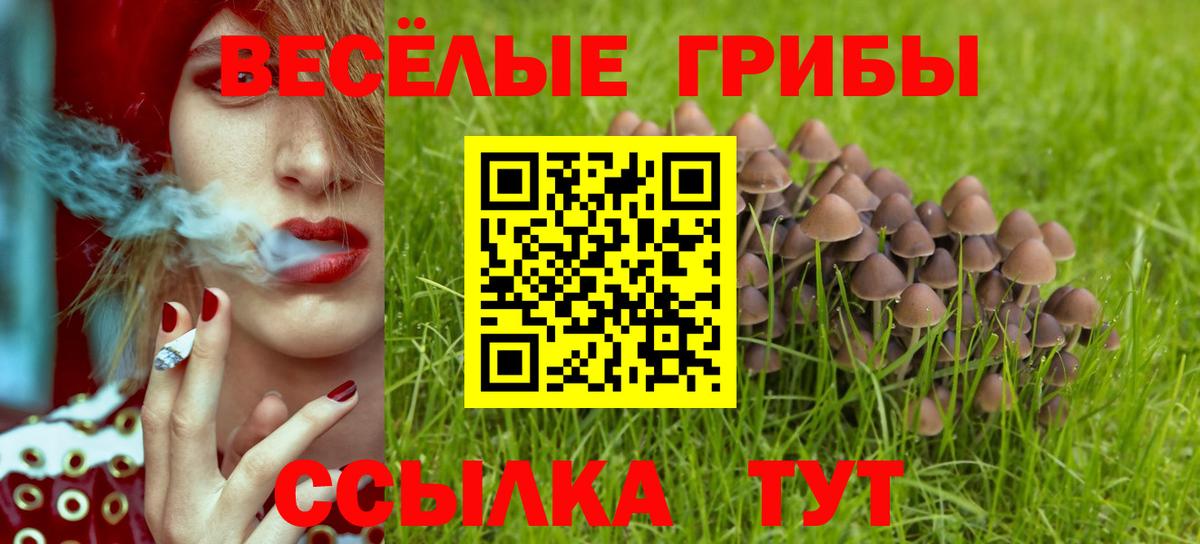 Псилоцибиновые грибы Cubensis Фролово