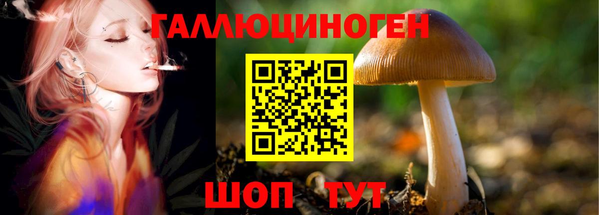 Псилоцибиновые грибы ЛСД  Псилоцибиновые грибы Psilocybe  Фролово  Вход с VPN 